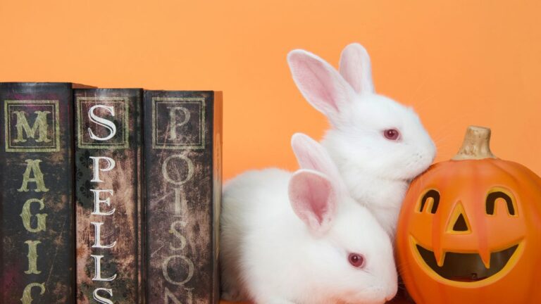 Halloween Books for Kids: Spooky and Fun Reads for the Season
