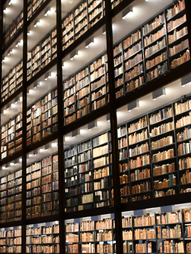 How Many Books Do You Need To Be Considered A Library?